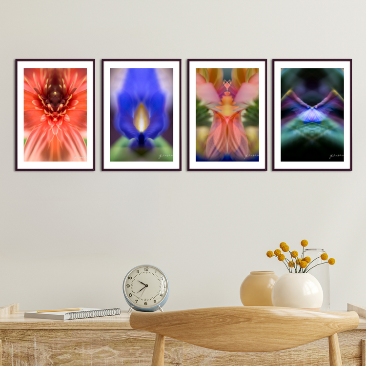 The Serenity Series