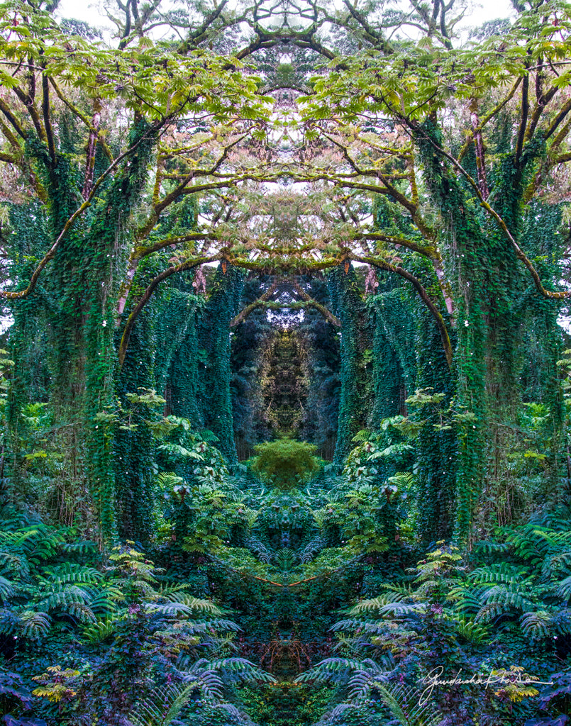Cathedral