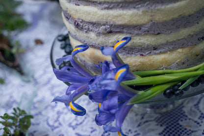 Wedding Photography Narayan & Ryan