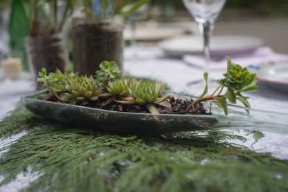 Wedding Photography Narayan & Ryan