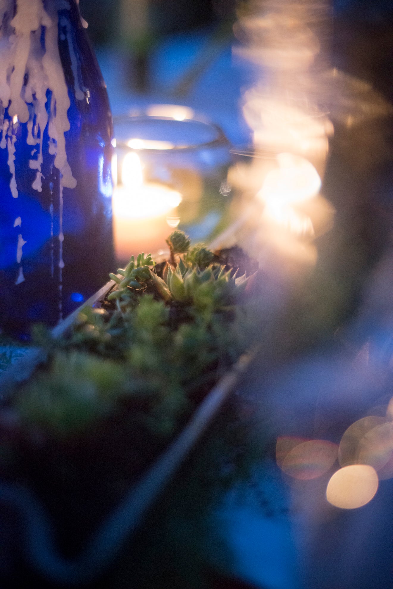 Wedding Photography Narayan & Ryan