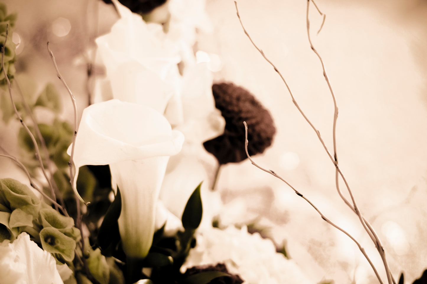 Wedding Photography Panch Nishan & Hari Arti